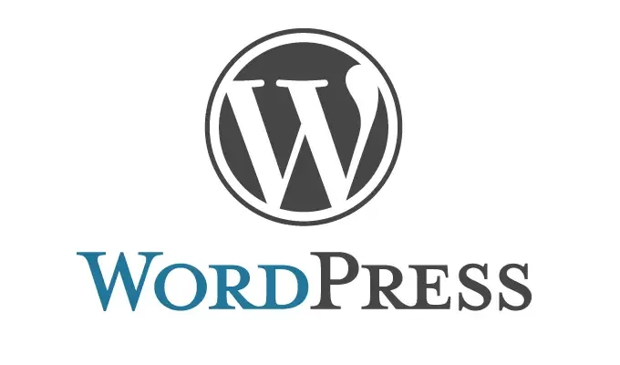 Why Choose WordPress To Boost Your Startup