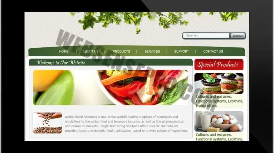 Why You Should Have A Website For Restaurant?