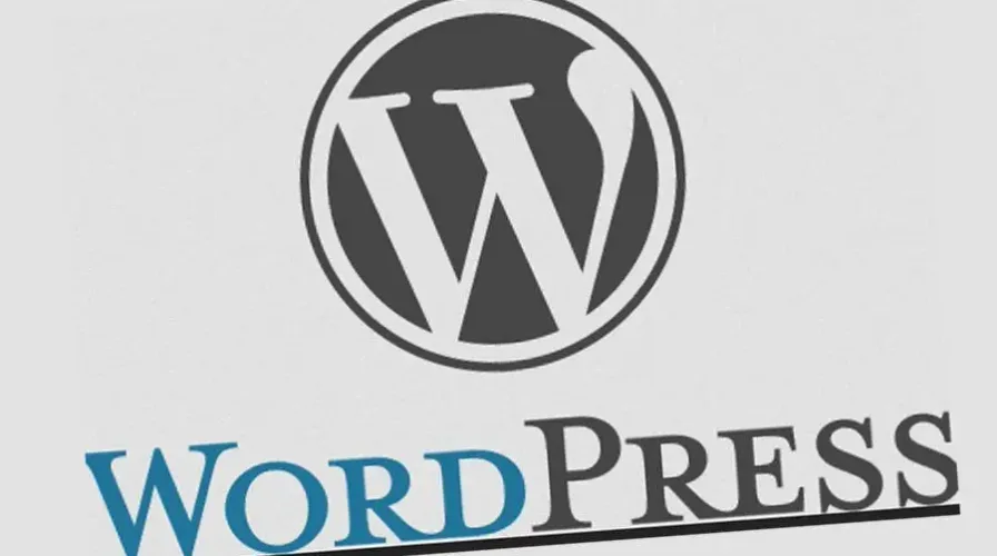 WordPress Future